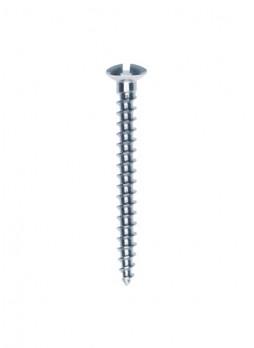 Bone Fixation Screws